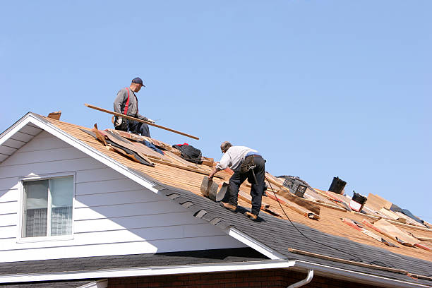 Best Roof Waterproofing  in Wren, AR